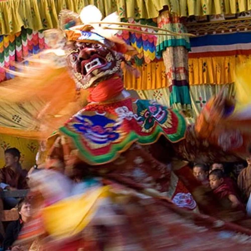 Paro Festival Tour